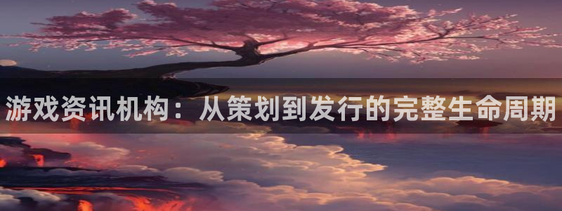 杜邦娱乐游戏：游戏资讯机构：从策划到发行的完整生命周期