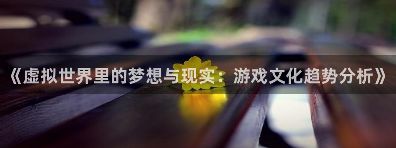 杜邦娱乐平台注册：《虚拟世界里的梦想与现实：游戏文化趋势分析