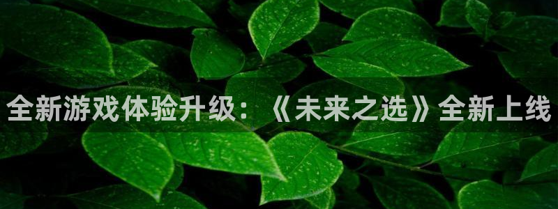 杜邦娱乐Ii：全新游戏体验升级：《未来之选》全新上线