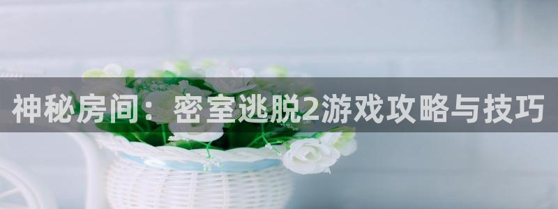 杜邦娱乐平台登录入口：神秘房间：密室逃脱2游戏攻略与技巧
