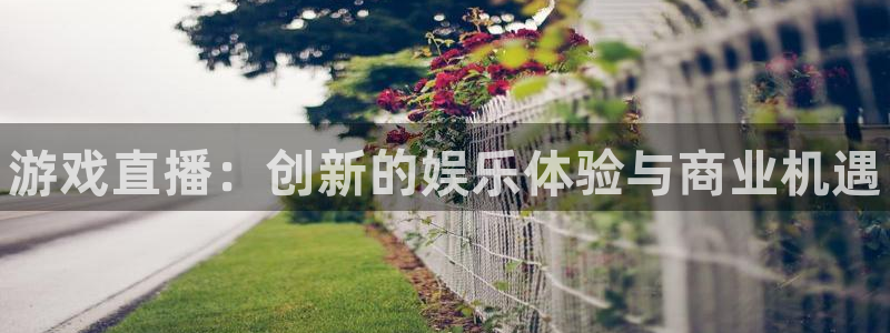 杜邦娱乐官方平台：游戏直播：创新的娱乐体验与商业机遇