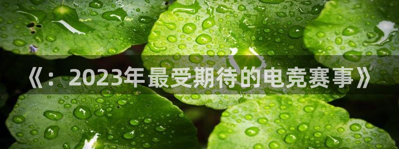 杜邦娱乐的意思：《：2023年最受期待的电竞赛事》