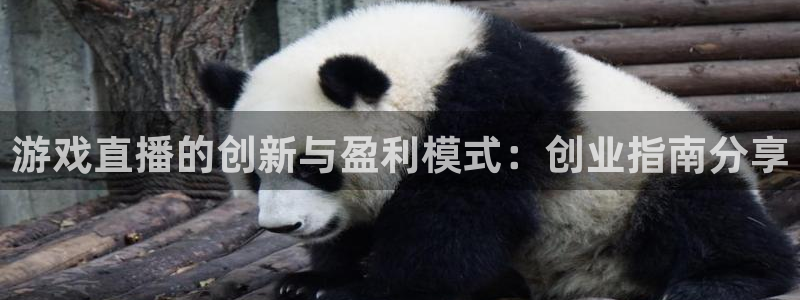 杜邦娱乐平台