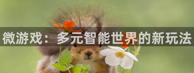 杜邦娱乐官网：微游戏：多元智能世界的新玩法