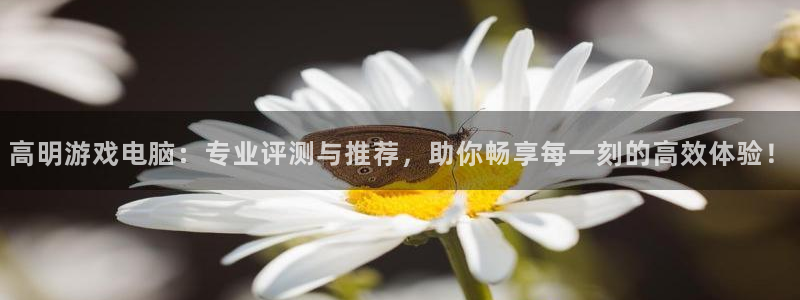 手机杜邦娱乐下载安装：高明游戏电脑：专业评测与推荐，助你畅享