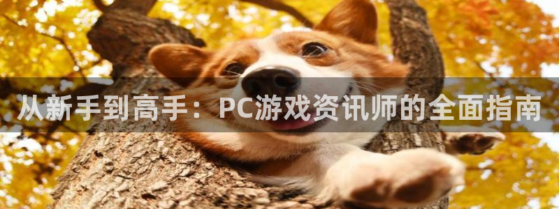 杜邦娱乐网页登录入口：从新手到高手：PC游戏资讯师的全面指南