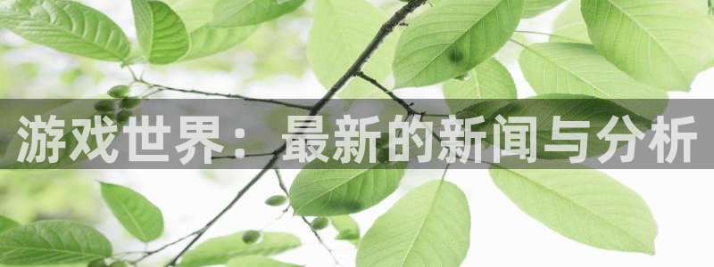 杜邦娱乐登录网址