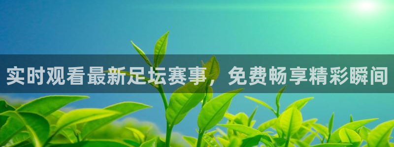 绿茵足球直播间：实时观看最新足坛赛事，免费畅享精彩瞬间