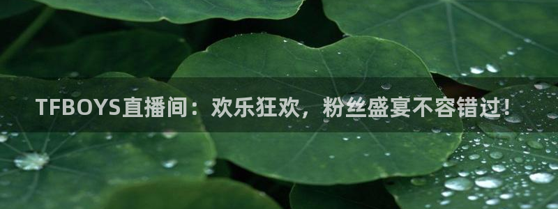 绿茵直播体育在线观看免费视频：TFBOYS直播间：欢乐狂欢，粉丝盛宴不容错过！