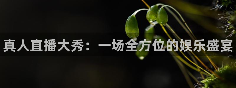 绿茵体育：真人直播大秀：一场全方位的娱乐盛宴