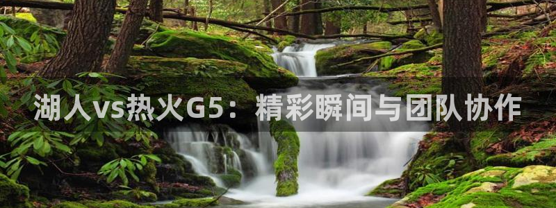绿茵直播体育在线：湖人vs热火G5：精彩瞬间与团队协作