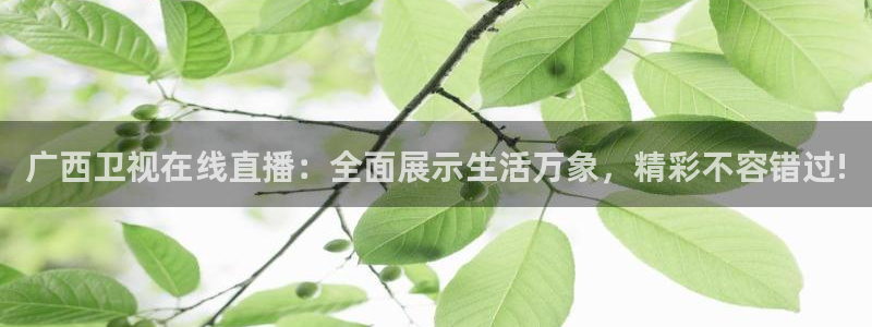 绿茵体育频道在线直播：广西卫视在线直播：全面展示生活万象，精彩不容错过!