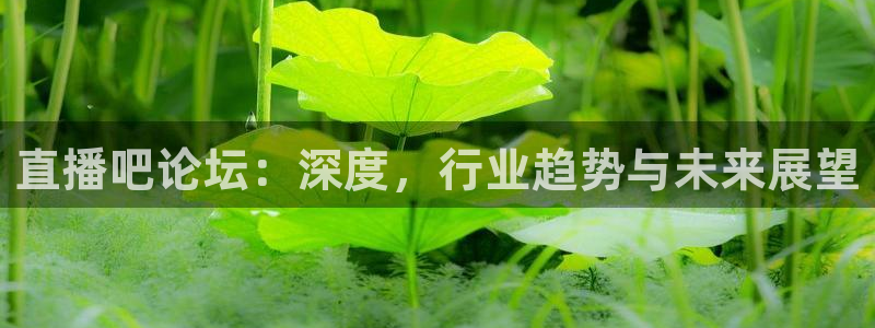 绿茵体育频道在线直播：直播吧论坛：深度，行业趋势与未来展望