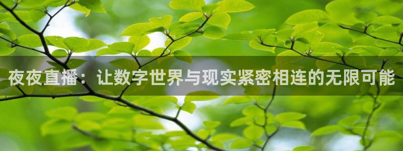 绿茵直播体育nba送红红单v2.红单足球.top：夜夜直播：让数字世界与现实紧密相连的无限可能
