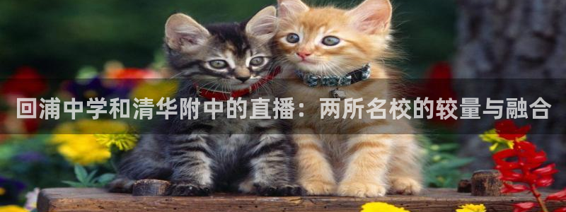绿茵足球直播免费观看直播：回浦中学和清华附中的直播：两所名校的较量与融合