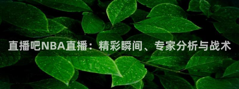 绿茵直播体育在线观看免费高清：直播吧NBA直播：精彩瞬间、专家分析与战术
