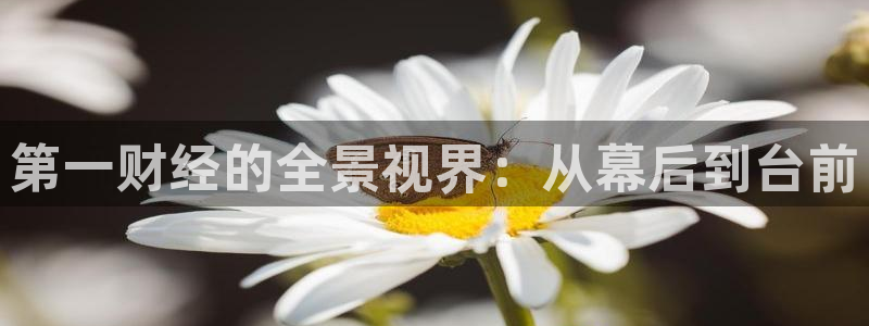 9939绿茵直播体育：第一财经的全景视界：从幕后到台前