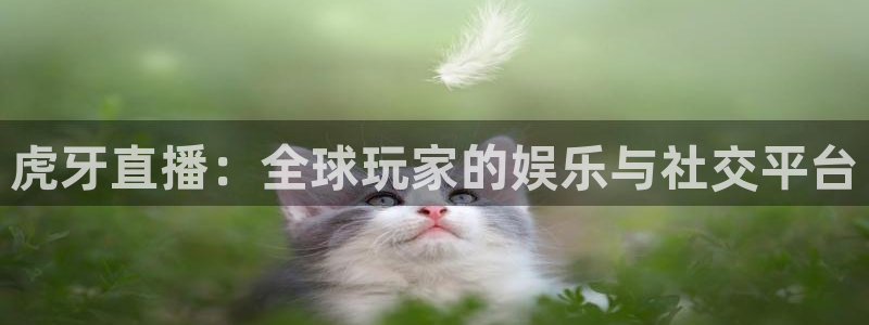 绿茵足球视频：虎牙直播：全球玩家的娱乐与社交平台