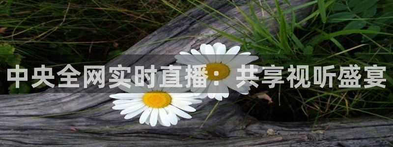 绿茵足球吧：中央全网实时直播：共享视听盛宴